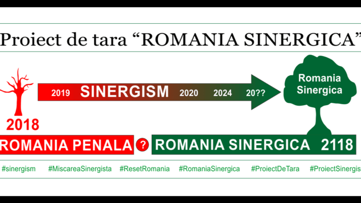 Proiectul „Romania Sinergica” 2118 – Introducere